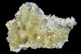 Plate Of Gemmy, Chisel Tipped Barite Crystals - Mexico #84405-1